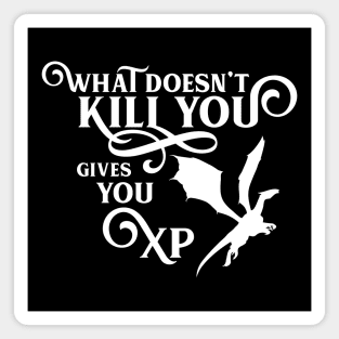 Dragon What Doesn't Kill You Gives You XP RPG Gaming Addict Magnet